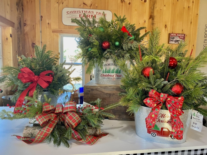 Hensen Family Choose and Cut Christmas Trees